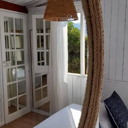 Del Sole